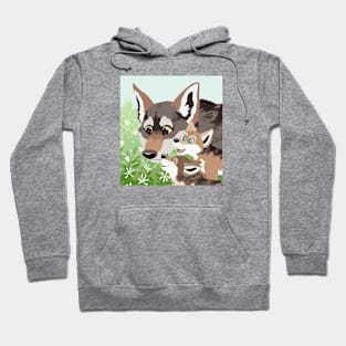 Red Wolf Family Hoodie